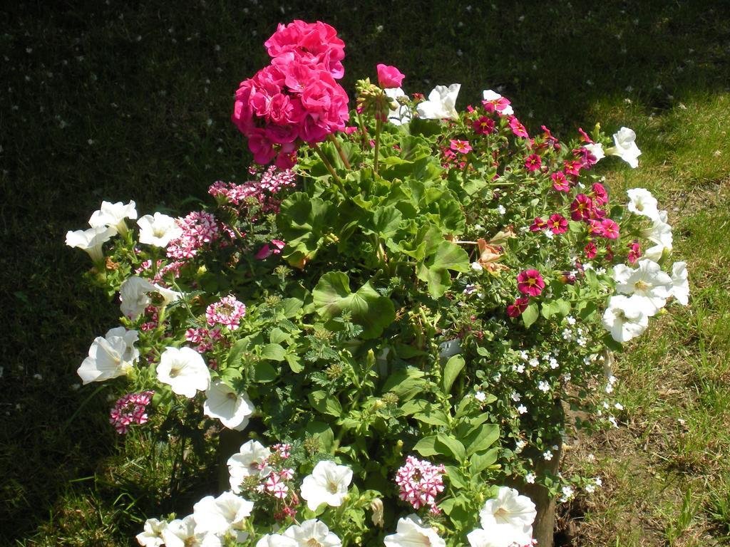 B&B Al Calcandola Sarzana Luaran gambar